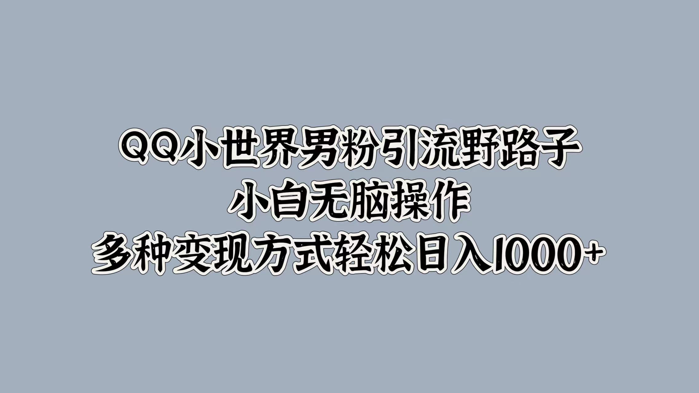 QQ小世界男粉引流野路子，小白无脑操作，多种变现方式轻松日入1000+-58轻创项目库