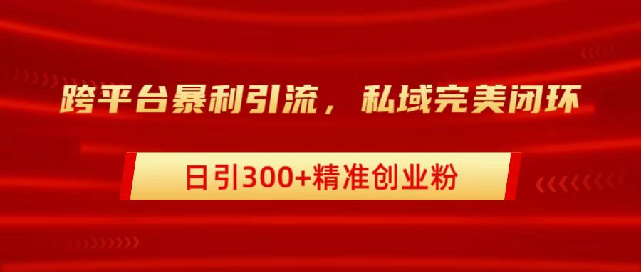 跨平台暴力引流，私域完美闭环，日引300+精准创业粉-58轻创项目库