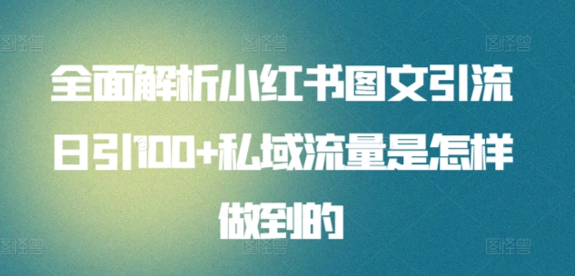 日引流100私域流量小红书图文是怎样做到的全面解析-58轻创项目库