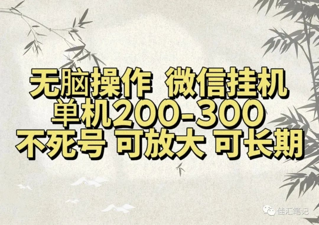 无脑操作微信视频号挂机单机200-300一天，不死号，可放大，工作室实测-58轻创项目库