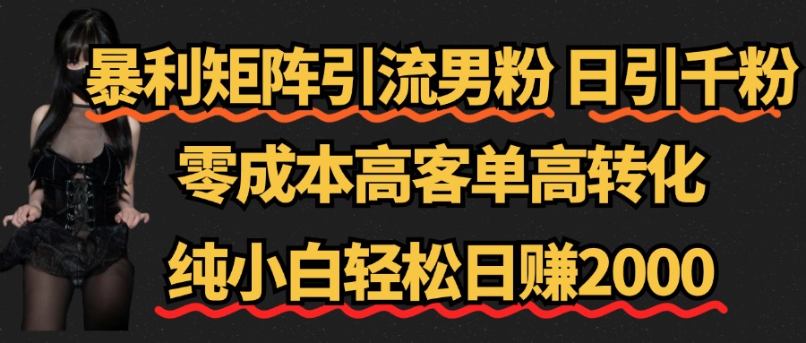 暴利矩阵引流男粉（日引千粉），零成本高客单高转化，纯小白轻松日赚2000+-58轻创项目库