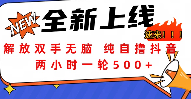 解放双手无脑 纯自撸抖音 两小时一轮500+-58轻创项目库